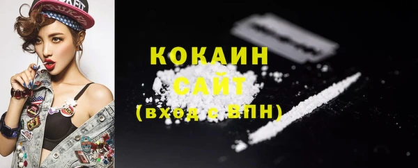 хмурый Горняк