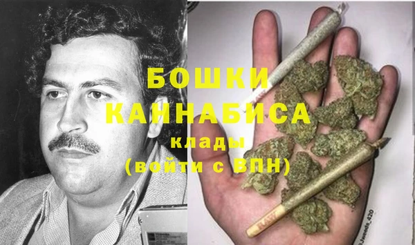 мдпв Горнозаводск