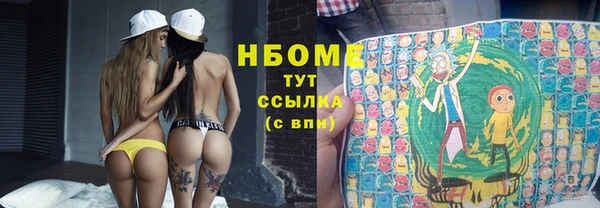 мдпв Горнозаводск
