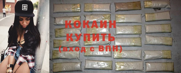 мдпв Горнозаводск