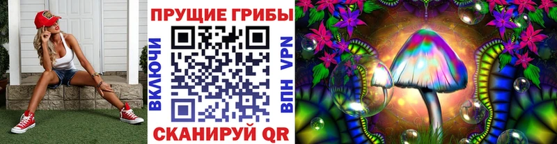 Псилоцибиновые грибы Magic Shrooms  Купить закладки  Циолковский 